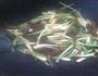 荞菜烧海狗的做法图解8