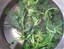 菠菜滑蛋的做法图解2