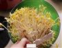 豆芽炒细面的做法图解3