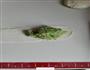 青萝卜丝馅饼的做法图解11