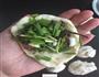 干菜扣肉饼的做法图解7