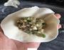 白菜猪肉水饺的做法图解11