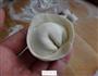 韭菜海鲜馄饨的做法图解7