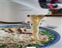 牛肉山药龙须面的做法图解17