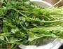 猪肉香芹水饺的做法图解5