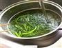 茴香饺子的做法图解4