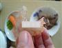 家味鸡里蹦的做法图解2