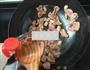 孜然羊肉的做法图解5