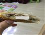 香酥藕夹的做法图解10