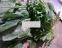 江白虾炒菠菜的做法图解2