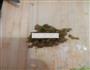 芹菜鸡蛋饼的做法图解1