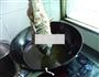 蒸香酥鱼的做法图解6