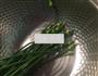 马蹄莲菜肉馄饨的做法图解5