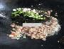 蒜蓉肉末烤茄子的做法图解7