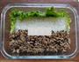 小兔子牛肉蔬菜便当的做法图解5