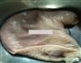 苦藠猪肚汤的做法图解1