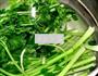 芹菜虾皮鲜肉水饺的做法图解2