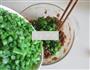 四季豆猪肉包的做法图解6