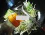 尖椒韭菜芽炒绿豆芽的做法图解5