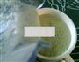秋葵熟豆豆浆的做法图解9