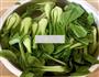 香菇扒菜胆的做法图解5