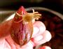 珍珠丁拌香芹的做法图解2