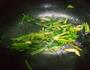 菠菜清炒五花羊肉的做法图解3