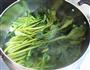 菠菜炒粉丝的做法图解5