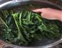 菠菜蛋花汤的做法图解1