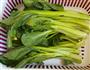 蒜蓉菜心的做法图解1