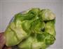 腊肉干锅儿菜的做法图解1