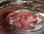 皮蛋瘦肉绿豆粥的做法图解1