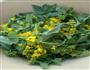 水煮菜花的做法图解1