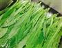 凉拌油麦菜的做法图解2