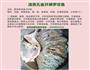 清蒸孔雀开屏罗非鱼的做法图解1