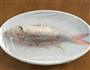金线鱼鱼饭的做法图解8
