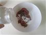 牛肉炒四季豆的做法图解2
