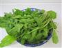 荠菜肉丝炒年糕的做法图解1