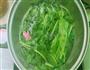 菠菜麻食的做法图解2