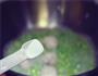 香煮青豆肉丸的做法图解4