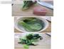 牛肉青菜粥的做法图解2