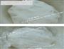 水晶虾饺的做法图解2