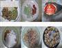 广式火腿五仁月饼的做法图解1