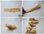 豆腐结烧肉的做法图解5