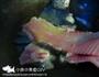蕃茄鱼的做法图解2