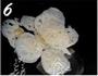 西兰花炒藕片的做法图解6