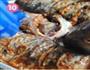 私家飘香麻辣豆豉烤鱼的做法图解10