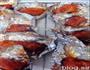 金牌BBQ烤排骨的做法图解5