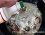 羊骨粉丝汤的做法图解9