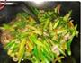 肉炒芦笋的做法图解2